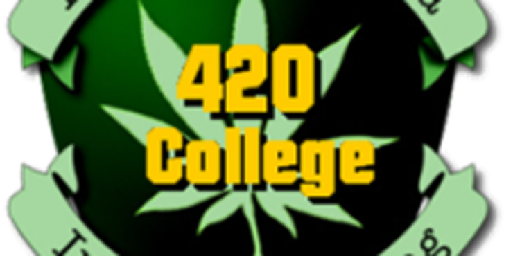 California 420 institute